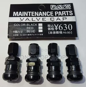 Rays 4pcs Valve Caps in Black