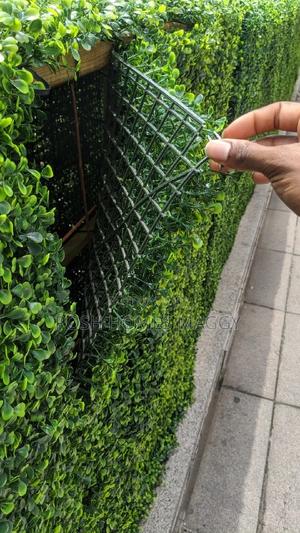 Evergreen Privacy Screen Hedge Panels - thumbnail 2
