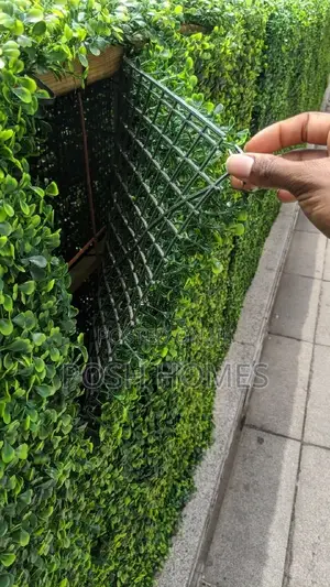 Evergreen Privacy Screen Hedge Panels