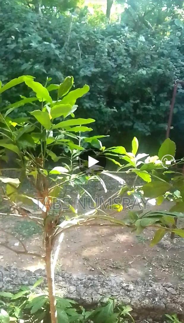 Plot For Sale - thumbnail 3