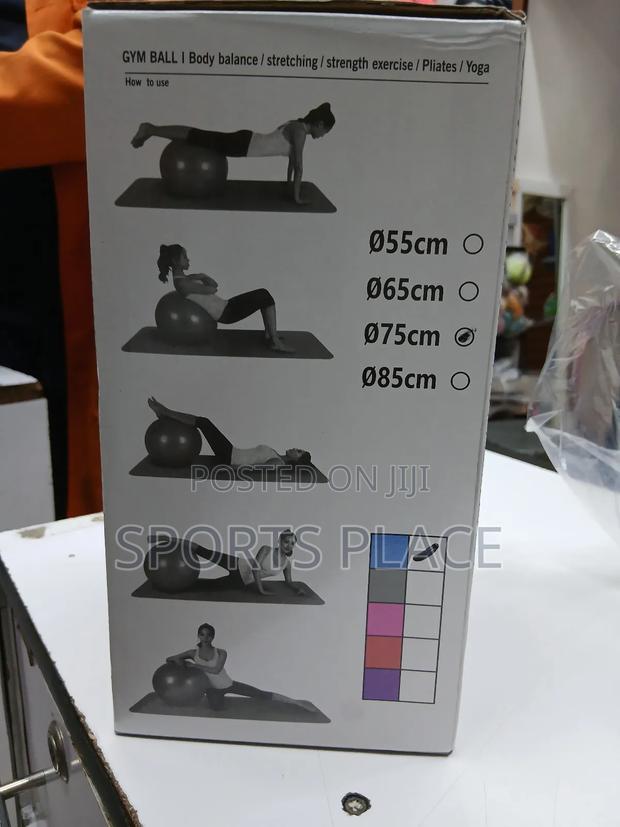 Gym Ball/Yoga Ball - 75cm - thumbnail 3