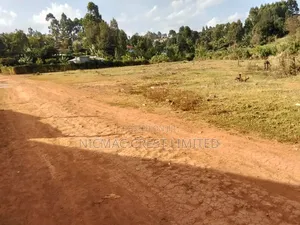 40 by 80 at in Karura