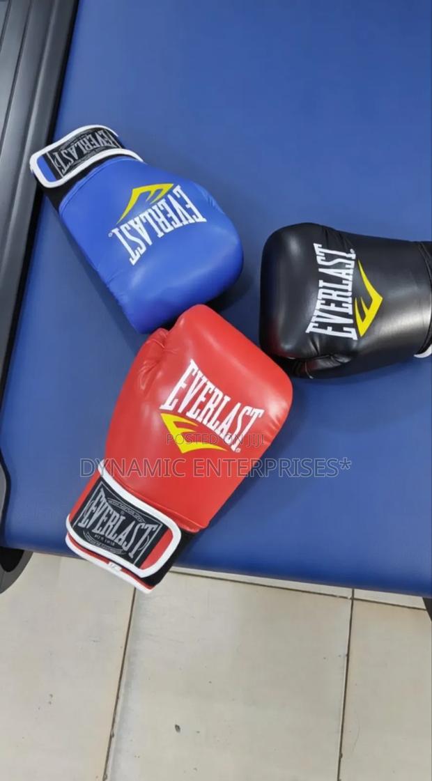 Everlast Boxing Gloves - main view