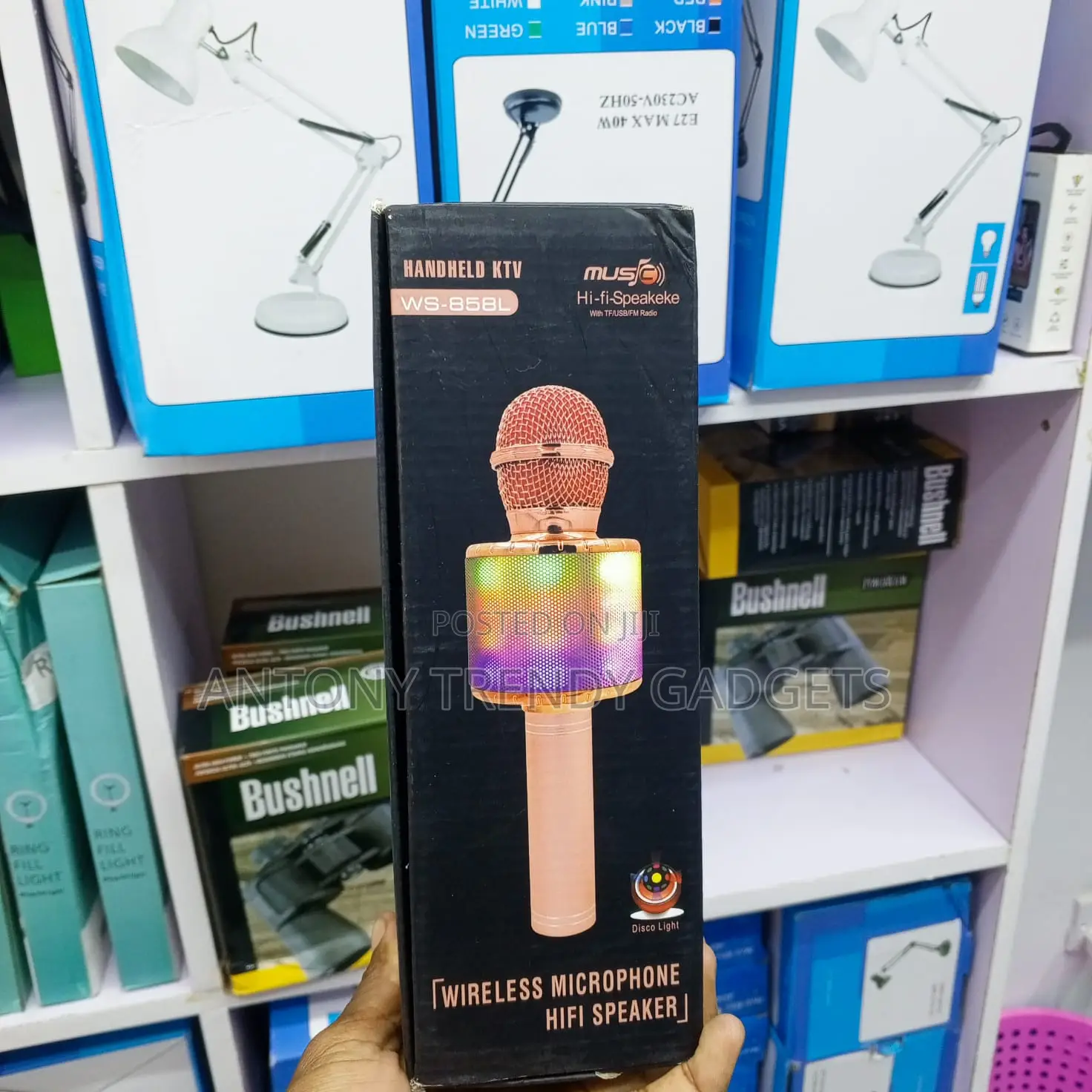 Ws-858l Handheld Ktv Wireless Microphone Hifi Speaker, Kids Karaoke