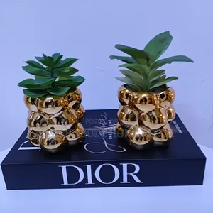 Gold Succulents