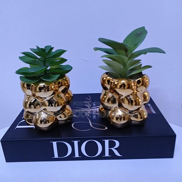 Gold Succulents - thumbnail 2