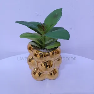 Gold Succulents