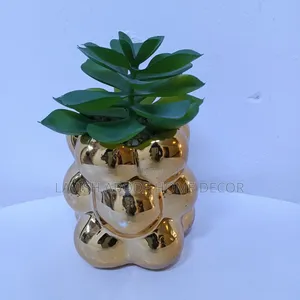 Gold Succulents