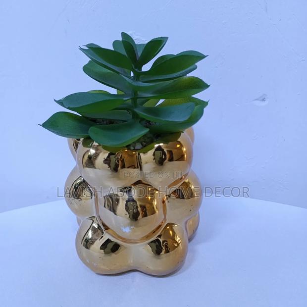 Gold Succulents - thumbnail 4