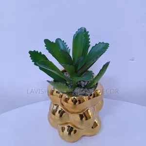 Gold Succulents