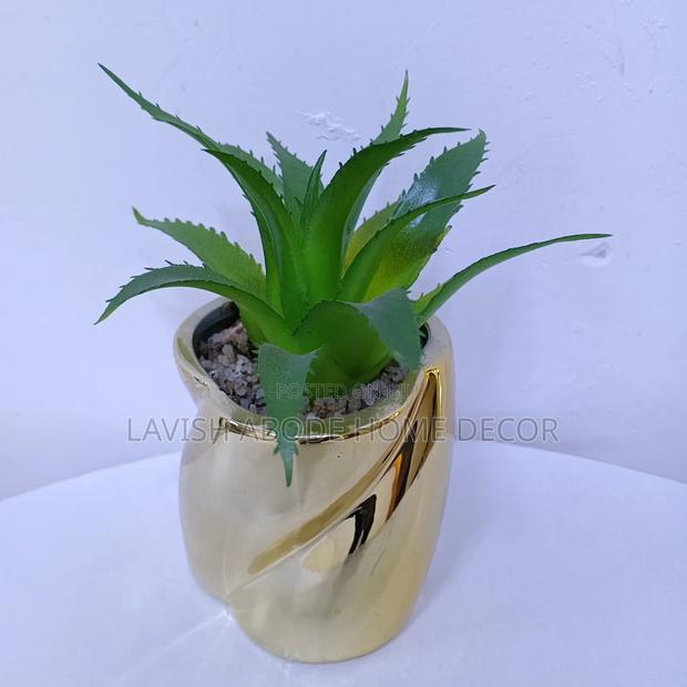 Gold Succulents - thumbnail 6