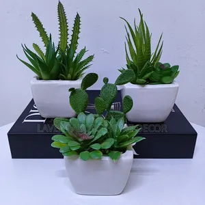 Artificial Flower White Succulents Table Top / Washroom Decor