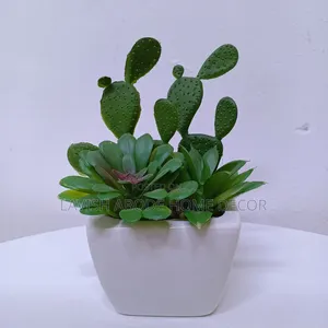 Artificial Flower White Succulents Table Top / Washroom Decor