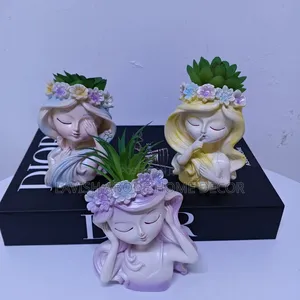 Doll Succulents for Office/Homes