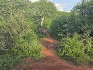 5acres Bush Land on Sale