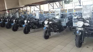 New Bomba 250cc 2025 Gray