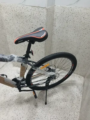 Reset Size 29 Bike