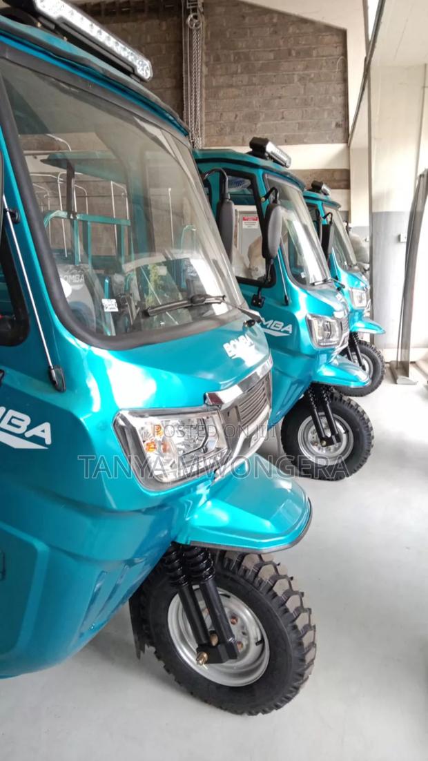 New Bomba 2025 Blue - thumbnail 4