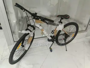 29" Reset Mountain Bike