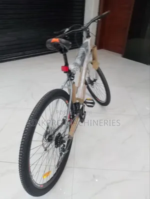 Size 29 Adult Bike