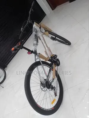 Size 29 Adult Bike