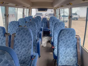 Mitsubishi Fuso Rosa 2018 Beige