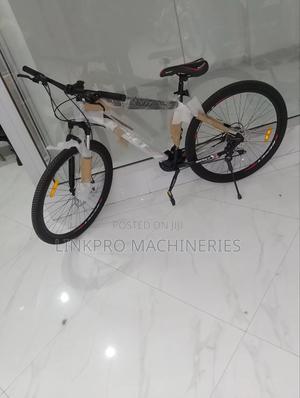 Reset Size 29 Bike - thumbnail 2