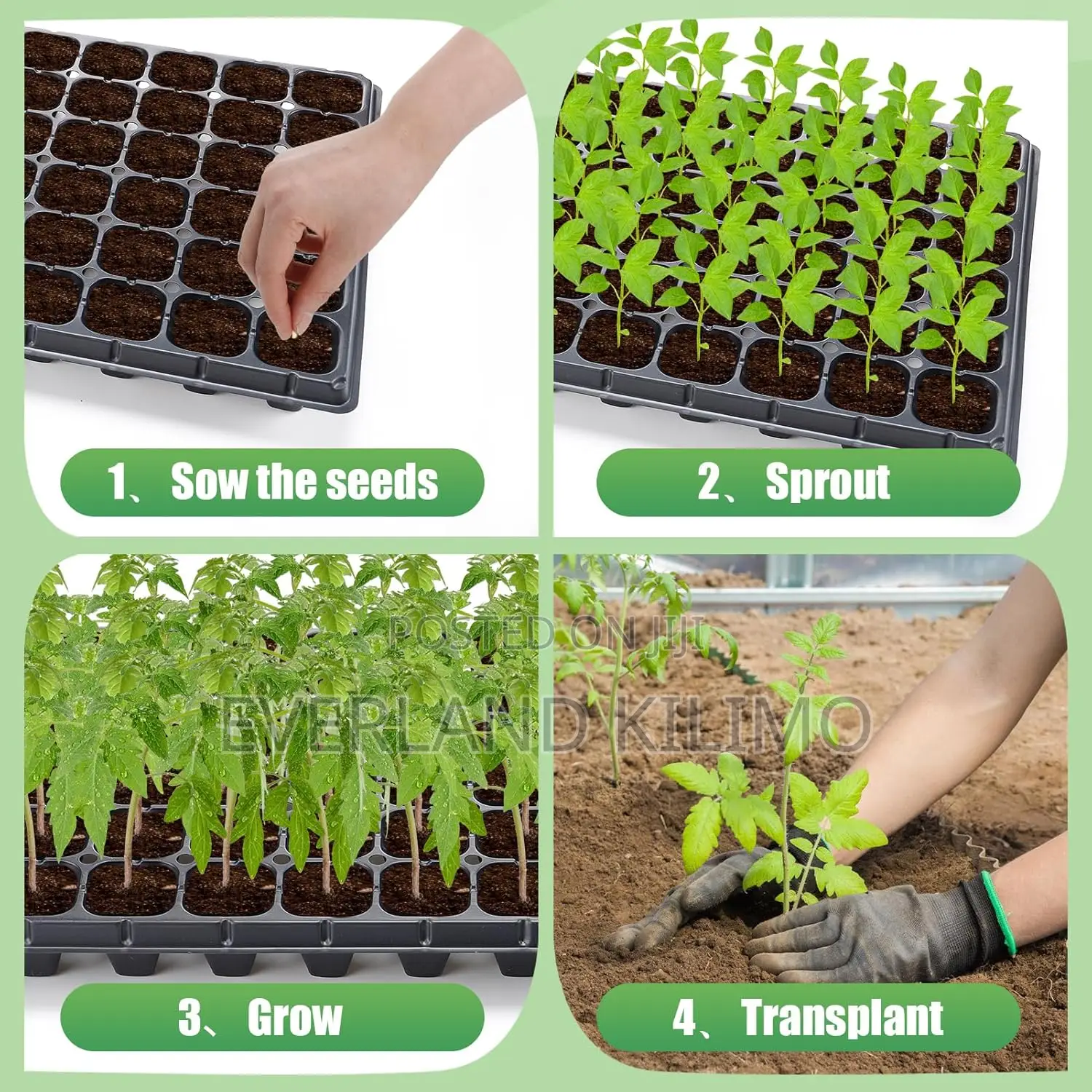 Multi-Cell Seedling Trays for Fast Germination