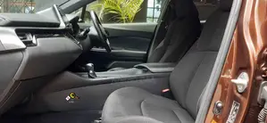 Toyota C-HR 2017 Brown