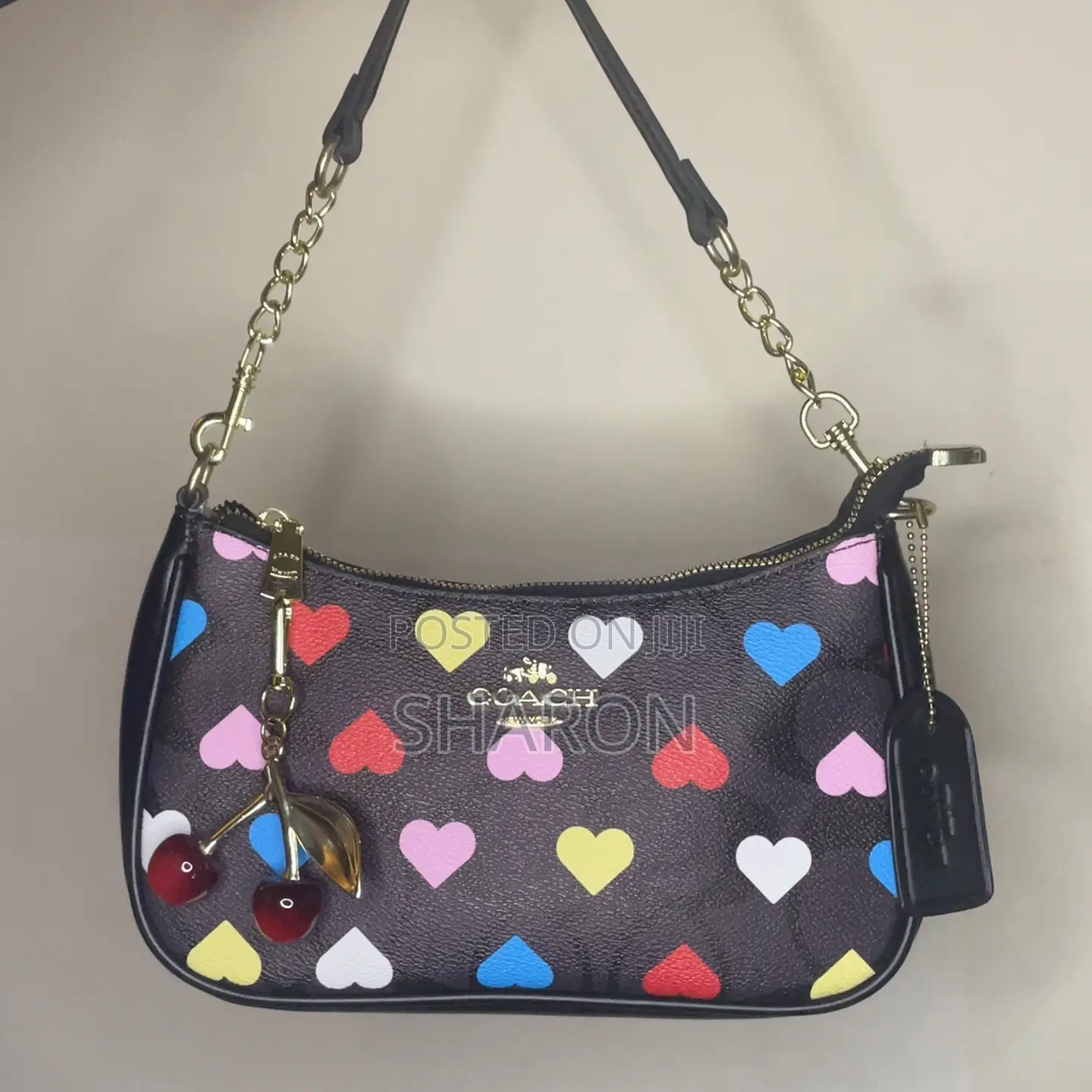 Coach Teri Bags(Free Cherry Charm)