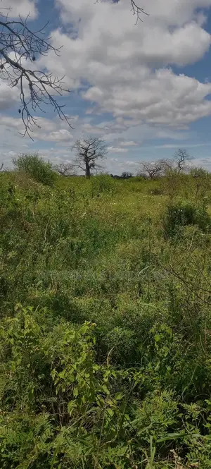 300acres at Ikutha on Sale