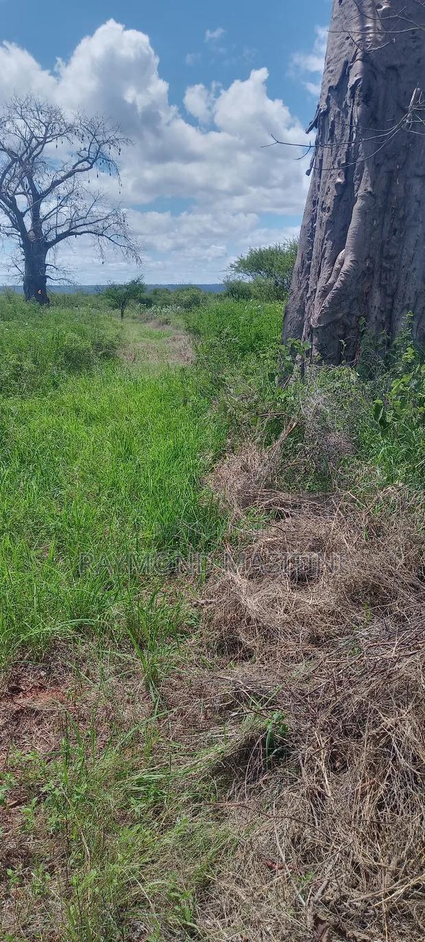 300acres at Ikutha on Sale - thumbnail 3