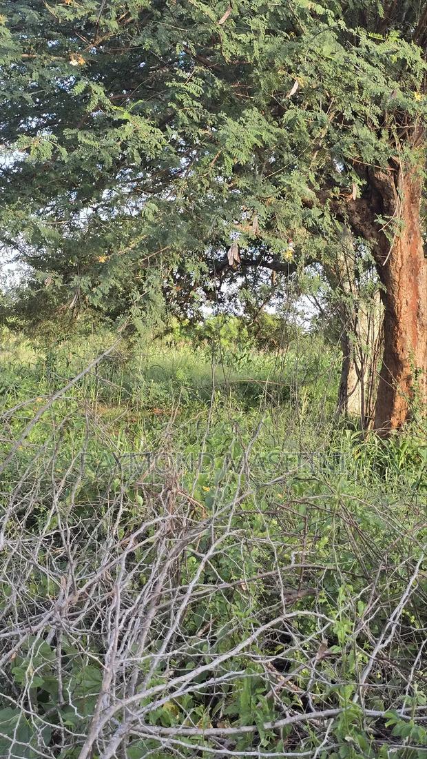 300acres at Ikutha on Sale - thumbnail 7