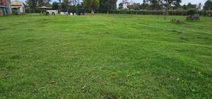 Commercial 1⁄4 Plot for Sale in Annex Bethel Eldoret - thumbnail 2