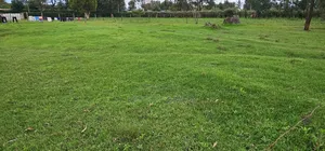 Commercial 1⁄4 Plot for Sale in Annex Bethel Eldoret