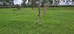 Commercial 1⁄4 Plot for Sale in Annex Bethel Eldoret