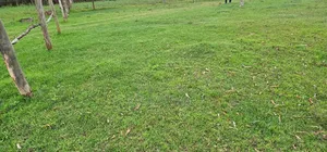 Commercial 1⁄4 Plot for Sale in Annex Bethel Eldoret