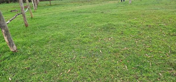 Commercial 1⁄4 Plot for Sale in Annex Bethel Eldoret - thumbnail 6
