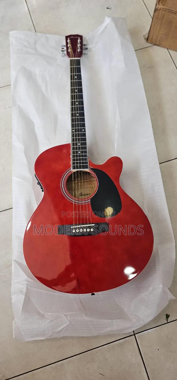 Daytona Mini Jumbo Electrified Guitar - main view
