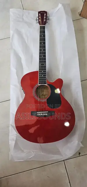 Daytona Mini Jumbo Electrified Guitar