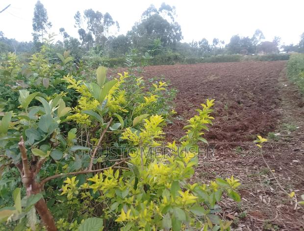 Land on Sale - main view