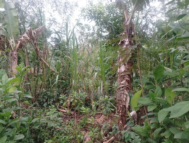 Land on Sale - thumbnail 3