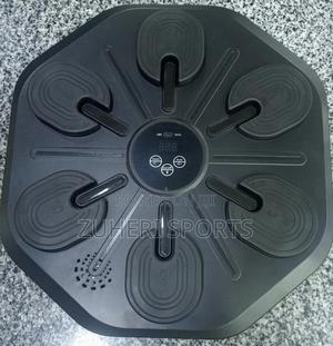 Musical Boxing Machine - main view