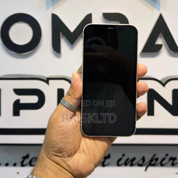 New Apple iPhone 12 Pro Max 256 GB Gray
