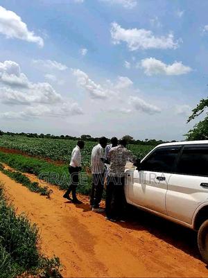 Malindi Marereni - thumbnail 2