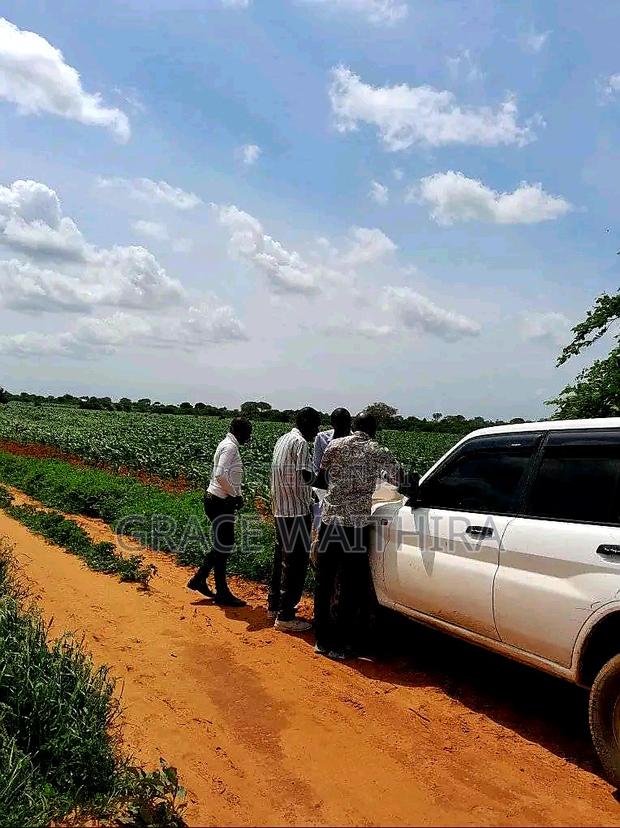 Malindi Marereni - main view