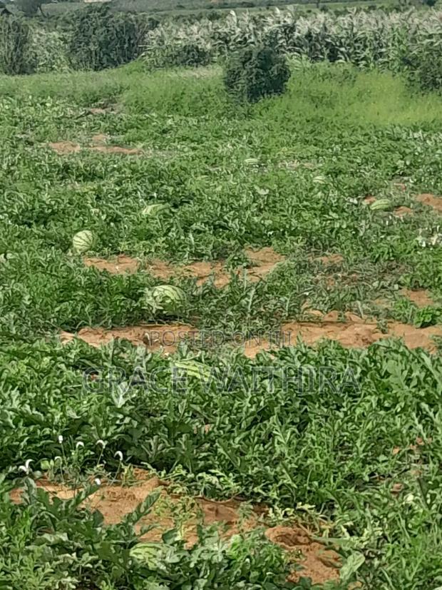 Malindi Marereni - thumbnail 4