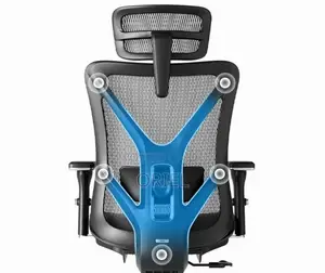 Office Chairs; Elite Orthopedic Lumbar Support Desk Chair