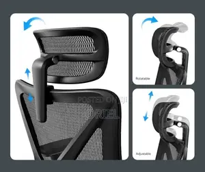 Office Chairs; Elite Orthopedic Lumbar Support Desk Chair