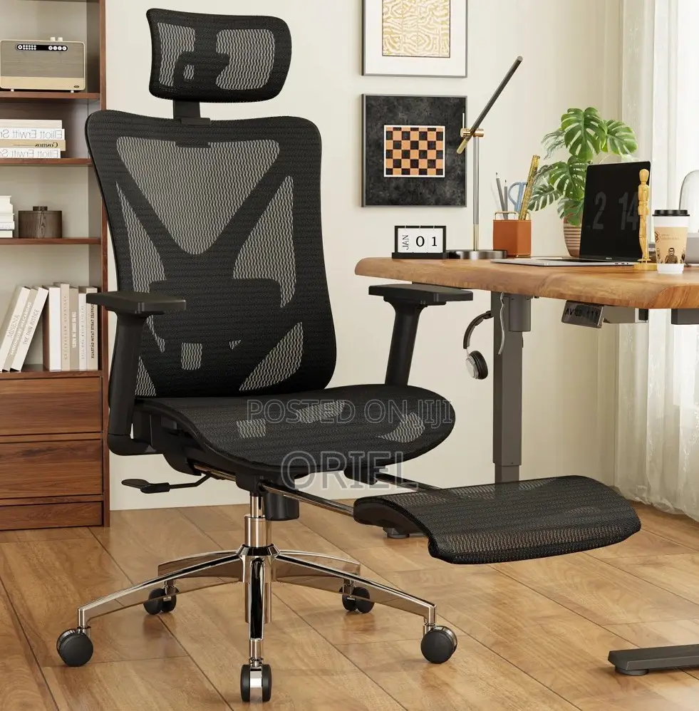 Office Chairs; Elite Orthopedic Lumbar Support Desk Chair
